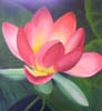 Lotus-Blume der Wildnis